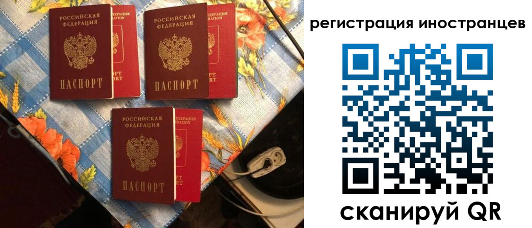 прописка поиск в Красновишерске